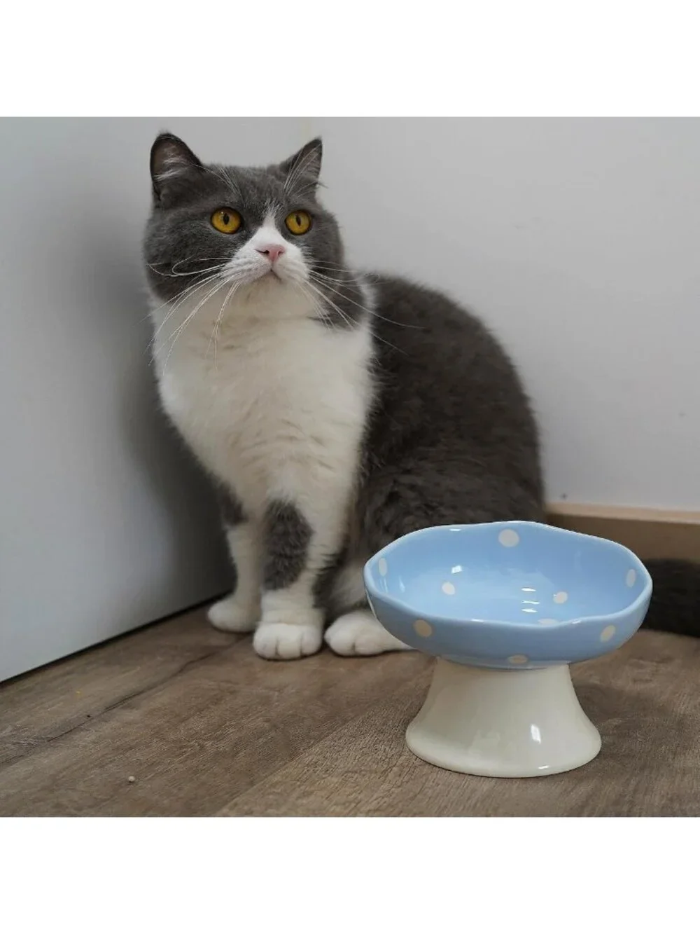 Elevated Ceramic Cat Bowl Set - 2PCS Pink & Blue Mushroom Design, Stylish